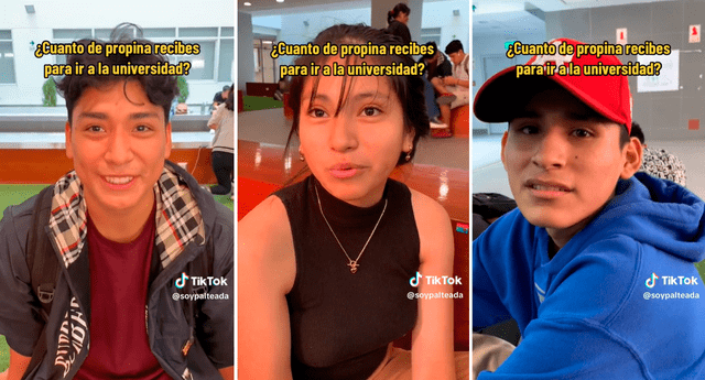 Las revelaciones de los estudiantes universitarios llamó la atención de los usuarios en TikTok. Foto: composición LOL/TikTok/@SoyPalteada