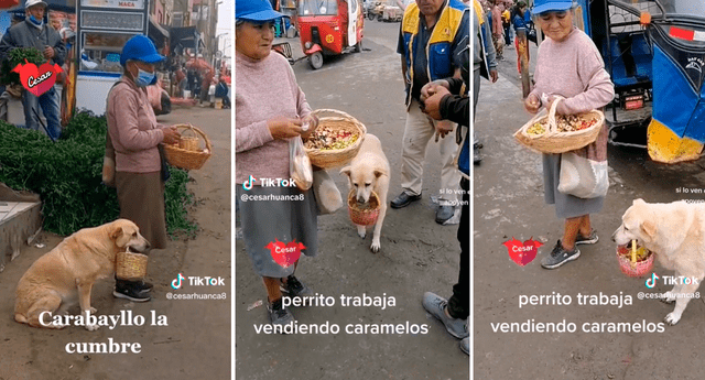 El video protagonizado por la perrita y su dueña sumó miles de reproducciones en TikTok. Foto: composición LOL/TikTok/@Cesarhuanca8