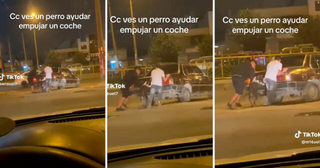 El perrito empujó el carro varado de su dueño y se volvió viral. Foto: composición LR/captura/@M16uel7/TikTok