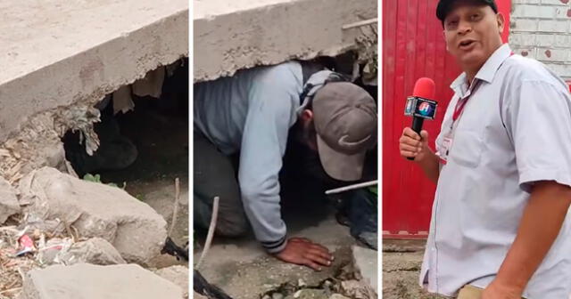 El reportero de Huaral se mostró sorprendido por hallar al hombre en una curiosa situación. Foto: composición LOL/captura de Facebook/Alerta Huaral al Instante