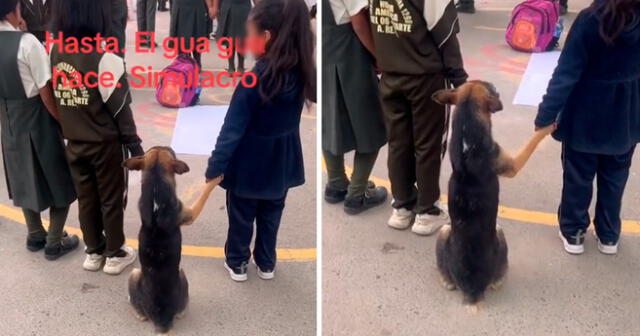 El perrito apareció participando del simulacro de sismo junto a los pequeños escolares. Foto: composición LOL/captura de TikTok/@DennisDanielMarti