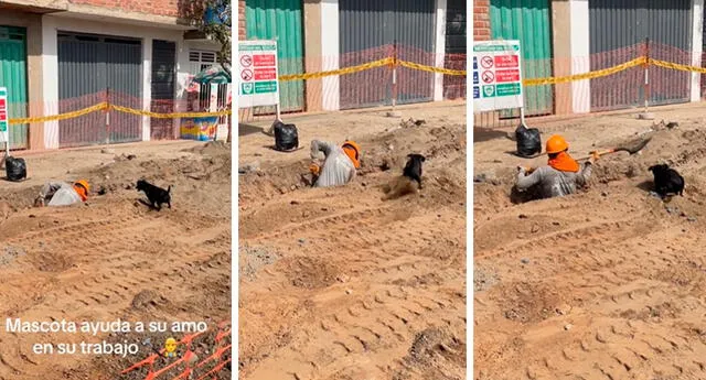 Los cibernautas encomiaron la labor del pequeño can. Foto: composición LR/captura/@SantiagoRamirezmo7/TikTok