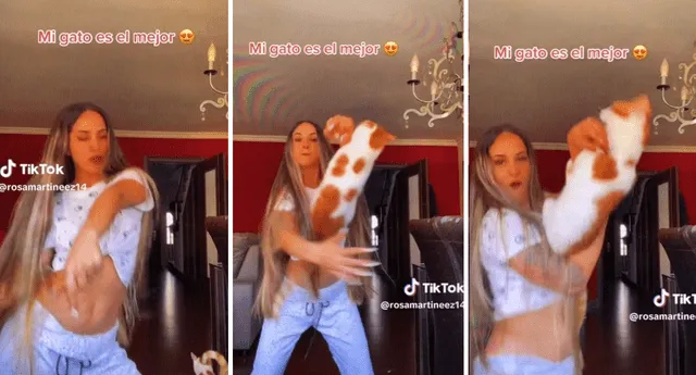 Gato y su 'Karen' son la sensación en TikTok. Foto: composición de Jazmín Ceras/LR/LOL/TikTok