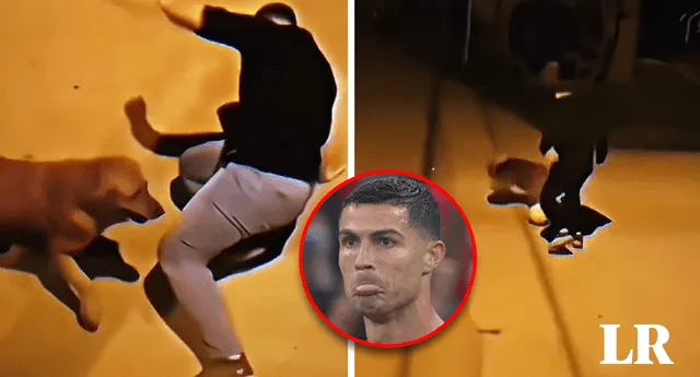 Perro mete ‘chocolate' y juega mejor que ‘CR7’. Foto: composición LR/captura de TikTok