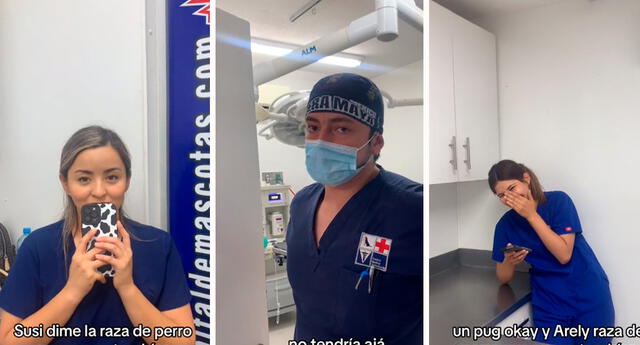 El bulldog, el husky y el pug fueron algunas razas de perros mencionadas por los veterinarios. Foto: composición LOL / capturas de TikTok / @AletziaViveros