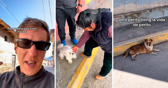 El turista elogió a los vecinos de aquella localidad por la manera de cuidar a sus perritos. Foto: composición Lol/captura de TikTok/@Gringo.Marcos