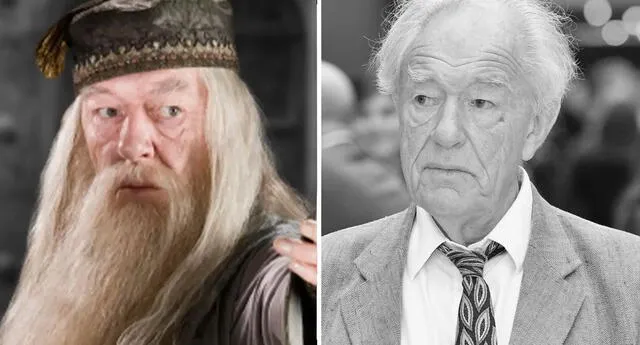 Michael John Gambon fue un actor irlandés-británico de teatro, televisión y cine.  Foto:  IMDb