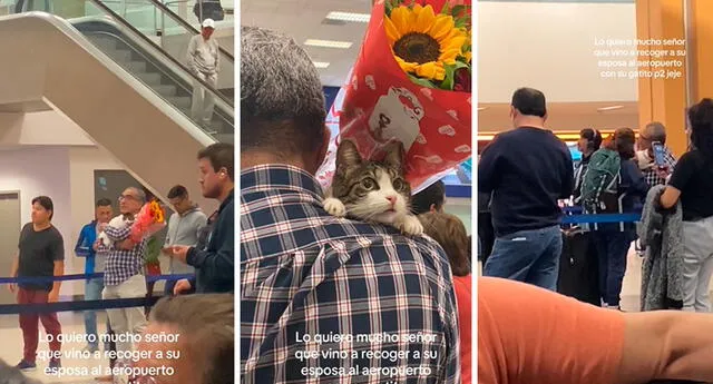 La señora se mostró feliz al ver a su esposo junto con su gatito en el aeropuerto. Foto: composición LOL / capturas de TikTok / @Usuario00.420