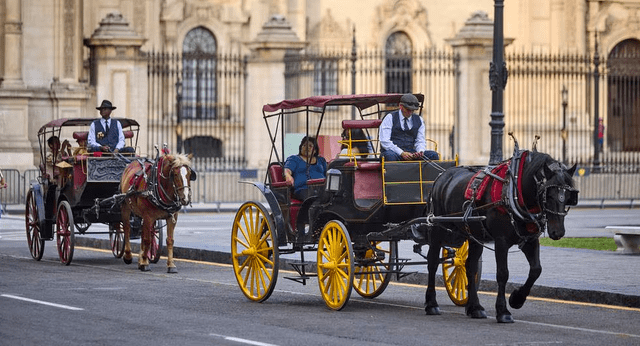 Municipalidad de Lima