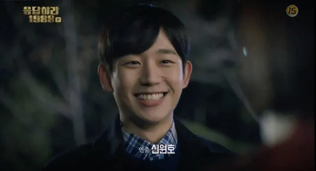 Jung Hae In, Reply 1988