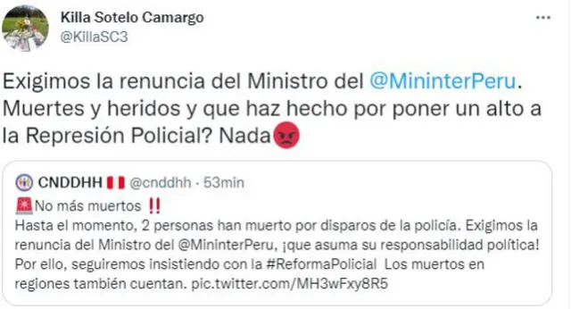 Killa Sotelo, hermana de Inti Sotelo, pidió la renuncia del ministro del Interior. Foto: Captura Twitter