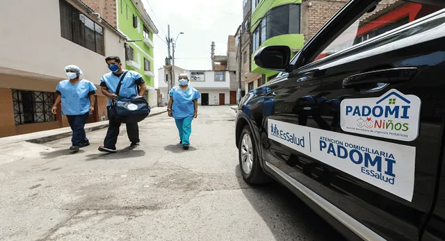  EsSalud también ofrece programas de telemedicina para pacientes que no pueden recibir visitas domiciliarias. Foto: Andina   