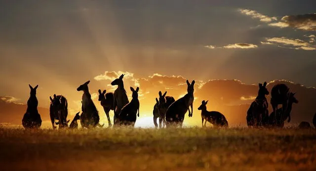  Biodiversidad en Australia. Foto: travelguidestar.com    