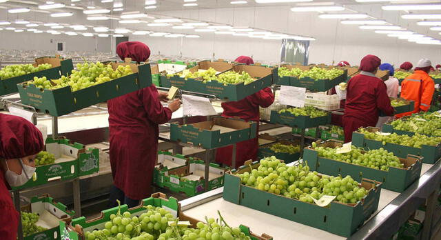  APEC contribuye a la diversificación de los mercados del Perú. Foto: Difusión.   