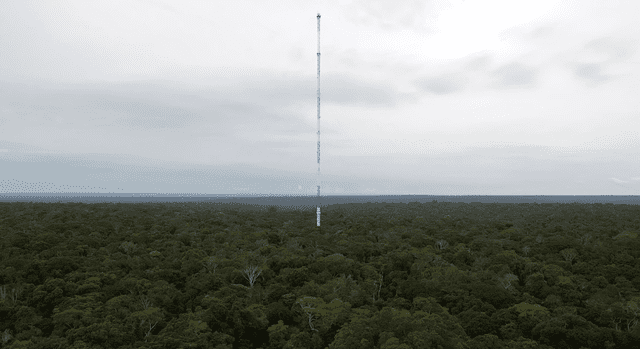 La torre ATTO ofrecerá la oportunidad de examinar minuciosamente el clima en el Amazonas. Foto: AFP 