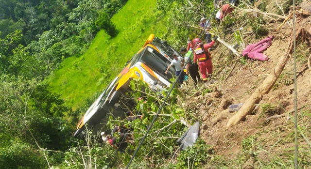 Un trágico accidente en la carretera Belaúnde Terry, cerca de Moyobamba, dejó al menos once muertos y varios heridos entre estudiantes de un colegio. Foto: difusión   