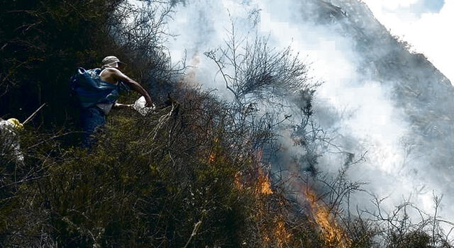 Numerosos. En el 2018 hubo 183 incendios forestales.