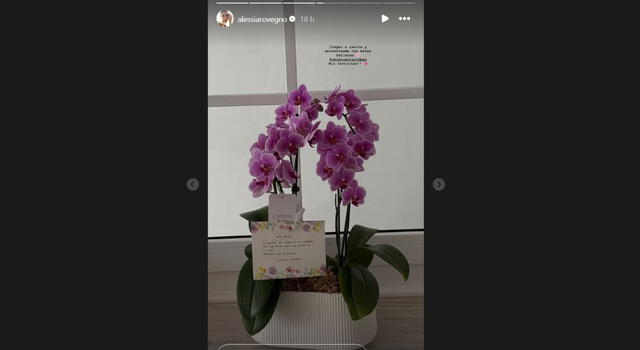  Alessia Rovegno recibió un arreglo floral y lo presumió en redes. Foto: Alessia Rovegno/Instagram   