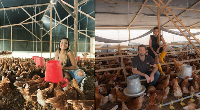 María Grazia Gamarra tiene un negocio de granja de gallinas. Foto: composición LR/ Instagram   