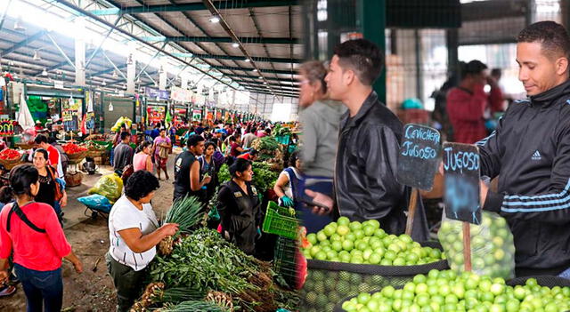  Precio del limón aumentó en S/11 el kilo en diversos mercados de la capital. Foto: difusión<br><br>    