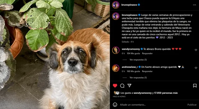  Bruno Pinasco recuerda a su mascota. Foto: Instagram   