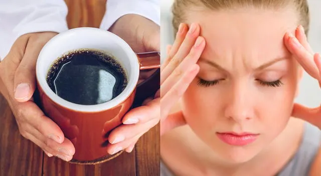  Conoce la relación entre el café y el cerebro.   