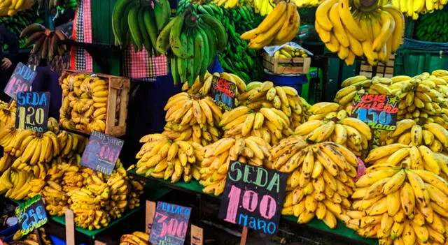 Los principales exportadores se encuentran en América Central, América del Sur, y Filipinas. Foto: Buenazo.   