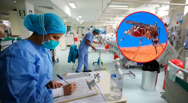 Los más perjudicados por el dengue son los jóvenes de 18 a 29 años, seguidos por los niños de 0 a 11 años. Foto: LR Los más perjudicados por el dengue son los jóvenes de 18 a 29 años, seguidos por los niños de 0 a 11 años. Foto: LR