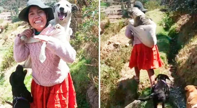 Mujer carga a su perro como un bebé para que la acompañe a trabajar