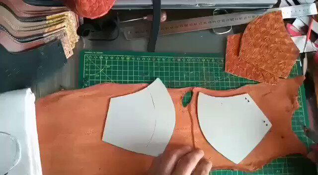 Mascarillas de piel de pescado Mascarillas de piel de pescado