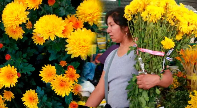 Vendedores en México abren para ofrecer flores amarillas este 21 de marzo.  Foto: LR Composición 