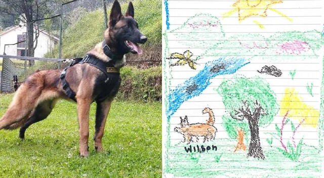  Militares colombianos iniciaron ardua búsqueda para encontrar al perro rescatista llamado Wilson.<br>    
