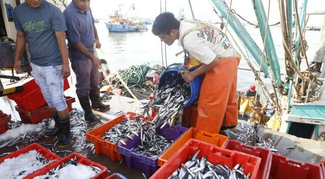  Día del pescador: el 29 de junio sirve para reconocer la valentía de aquellos hombres y mujeres que se dedican a la pesca. Foto: La República   