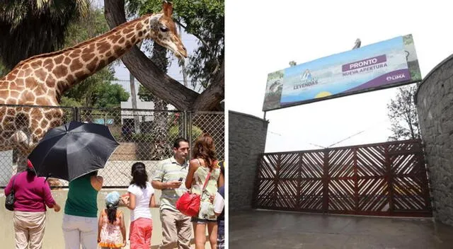  Los habitantes de Lima Este podrán conocer animales de diferentes especies con la nueva sede del Parque de las Leyendas.   