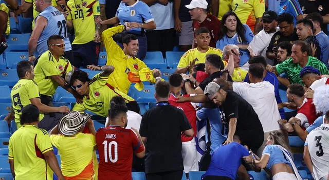 Jugadores de Uruguay se pelearon en plena tribuna del estadio con hinchas colombianos. Foto: AFP   