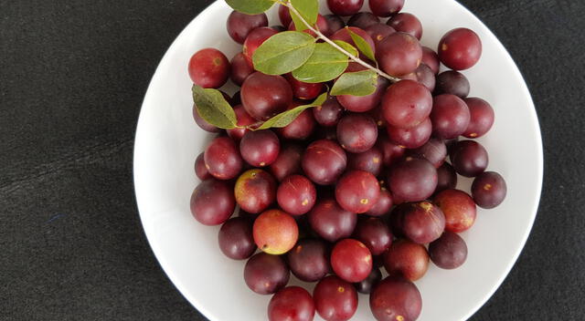 El camu camu tiene más vitamina C que cualquier otra fruta, lo cual permite el aumento de energía y vitalidad.   