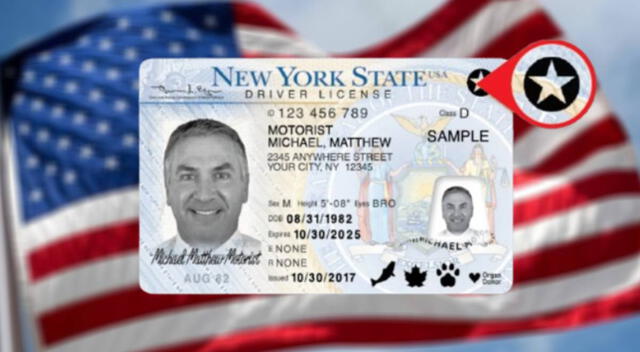  Paso a paso para renovar tu Real ID de manera anticipada en Nueva York.   