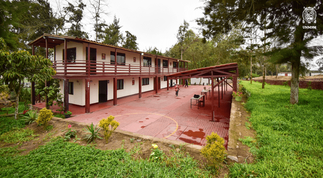 Futura escuela profesional de Administración Marítima y Portuaria. Foto: UNMSM   