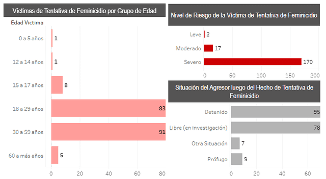 Según el Programa Nacional Aurora, hasta octubre se presentaron 189 casos de tentativa de feminicidio. Foto: Programa Nacional Aurora   