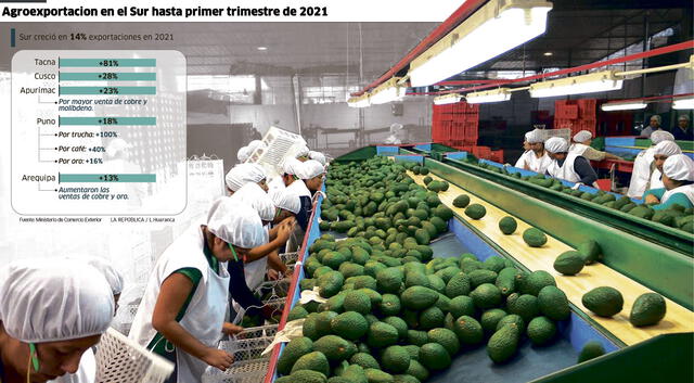 palta. Es uno de los productos cosechados en los campos de Arequipa que ingresan al mercado norteamericano gracias a los TLC que Perú Libre pretende revisar e incluso anular.
