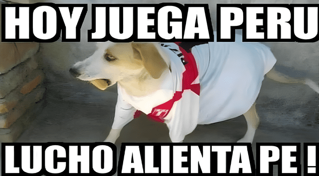 Perú vs. Ecuador | partido Eliminatorias Perú vs. Ecuador | partido Eliminatorias