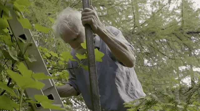 Ken Smith busca bayas cerca de las orillas del lago Treig. Foto: BBC