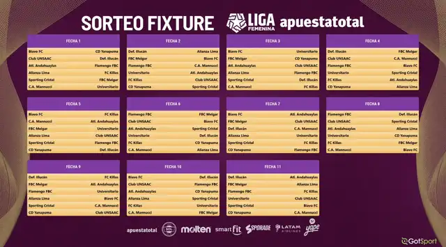Fixture del torneo 2026. Foto: Liga Femenina   