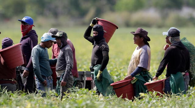 migracion en estados unidos