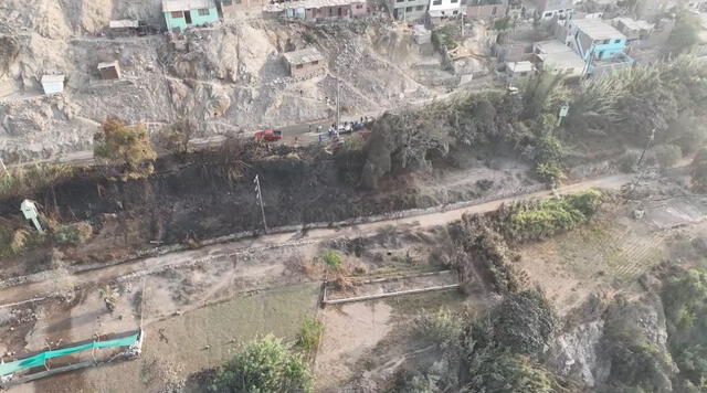  El incendio afectó 2.000 metros lineales y 6.000 metros cuadrados de áreas verdes. Foto: Municipalidad de Chosica    