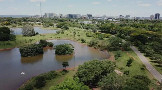 Existen diversas áreas verdes en Brasilia. Foto: Meulugar   