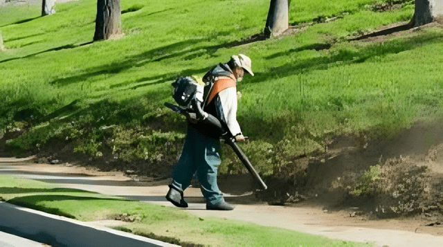 Varios migrantes optan por ser jardineros en el país norteamericano. Foto: Freepick/referencial   