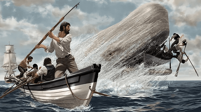 Este descubrimiento trajo a la memoria de expertos y público en general la historia de 'Moby Dick'. Foto: Freepick   