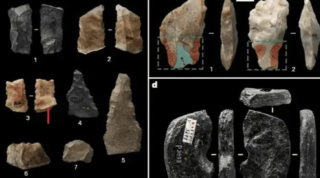  Los cráneos hallados en China son fragmentos pertenecientes a la especie Homo sapiens. Foto: Sports<br><br>    