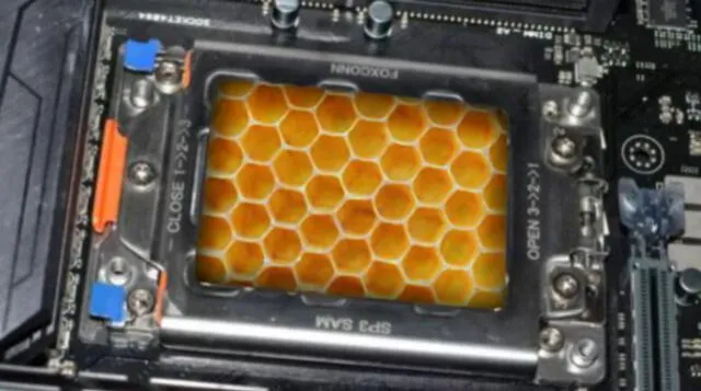 El futuro de las computadoras sería colocarle miel a las CPU